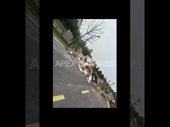 สายการผลิตพิลเล็ตไม้จากชีววินทรีย์ประเภท CPM แบบ 20T/H ที่ใช้พลังงานต่ํา